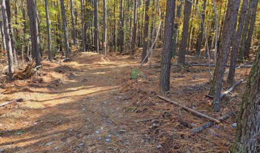 Lot 1 - Northern Trail