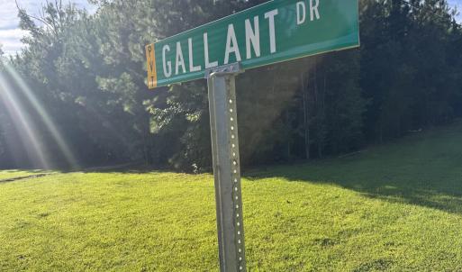Gallant Drive
