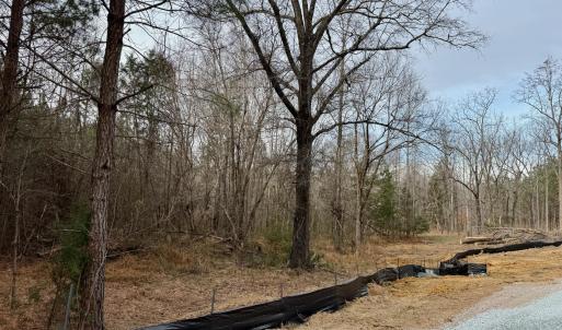 Lot D Road Frontage
