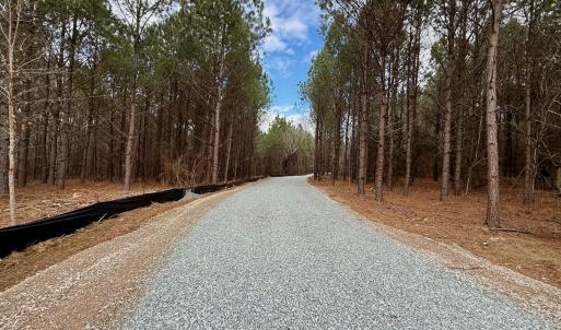 Wolf Tree Way