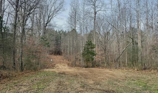 Near Creek