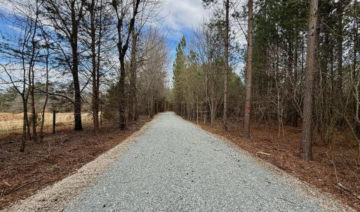 Wolf Tree Way
