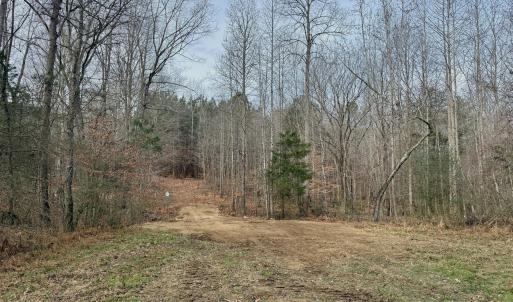 Near Creek