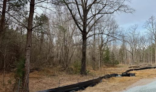 Lot D Road Frontage
