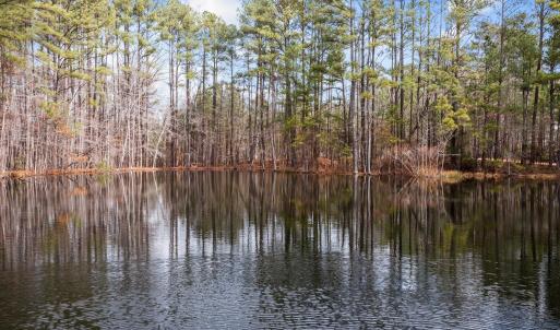 8-web-or-mls-DJI_0745