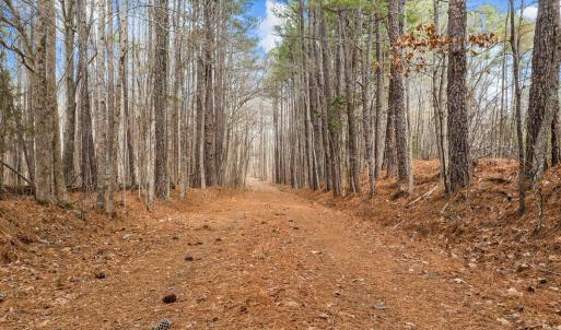 12-web-or-mls-DJI_0754