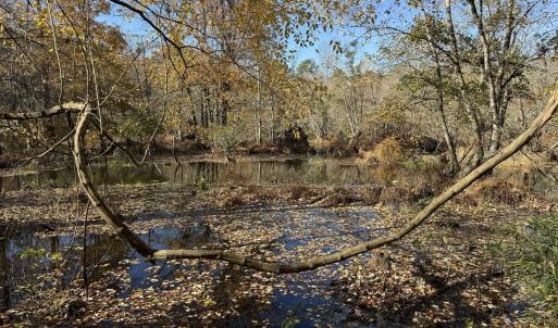 IMG_5296