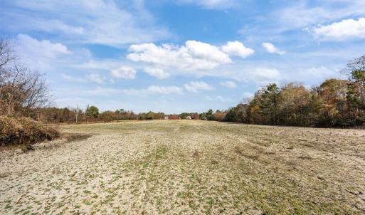 12-web-or-mls-IMG_6781