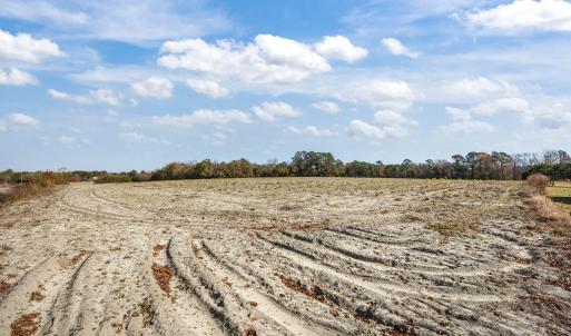 13-web-or-mls-IMG_6783