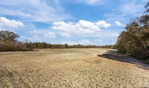 11-web-or-mls-IMG_6780