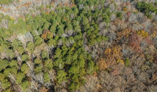 08-008-Chatham-Parcel-60852-20251117