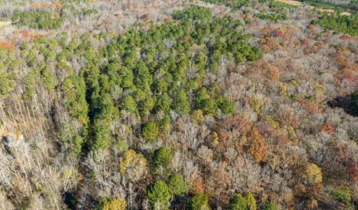 20-020-Chatham-Parcel-60852-20251117