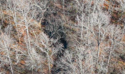 37-037-Chatham-Parcel-60852-20251201