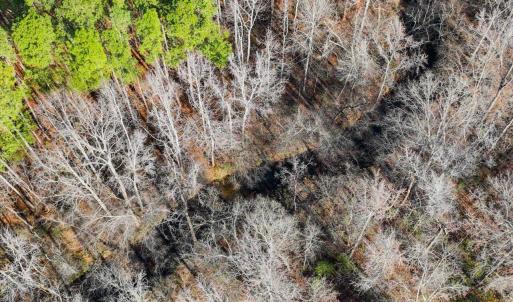 38-038-Chatham-Parcel-60852-20251201