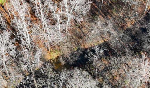 39-039-Chatham-Parcel-60852-20251201