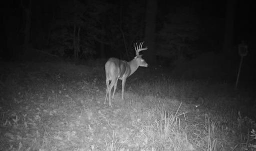 865509050858111-100-4-10082025205917-V-W