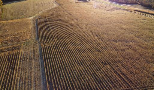 dji_fly_20251118_075830_97_1763471305032