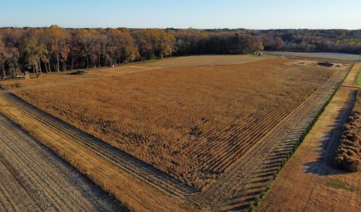 dji_fly_20251118_080000_101_176347103360