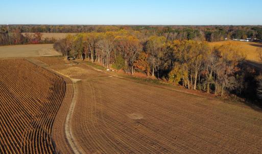 dji_fly_20251118_080110_103_176347102973