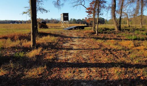 dji_fly_20251118_075754_95_1763471213396