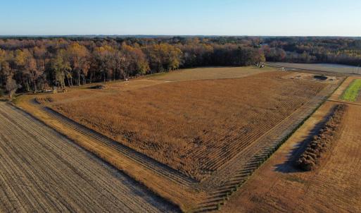 dji_fly_20251118_080012_102_176347103146