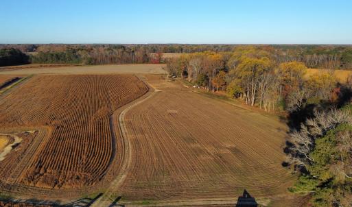 dji_fly_20251118_080134_105_176347102699