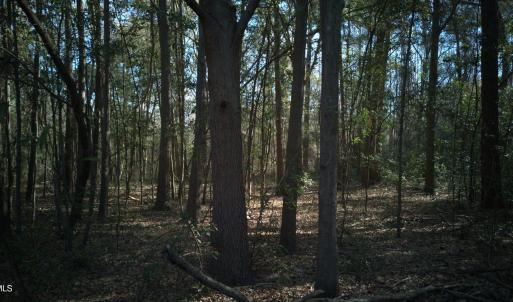 DJI_20250327094502_0026_D-scaled