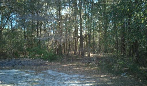 DJI_20250327094449_0022_D-scaled