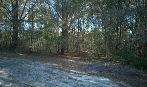 DJI_20250327094451_0023_D-scaled