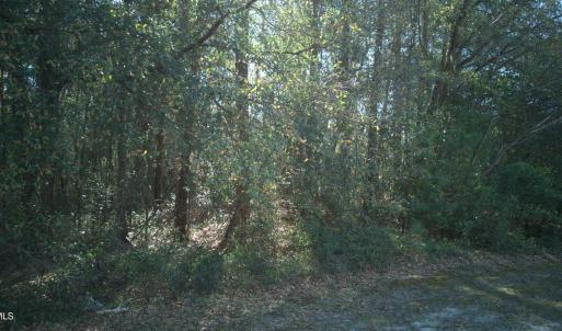 DJI_20250327094453_0024_D-scaled