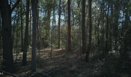 DJI_20250327094500_0025_D-scaled