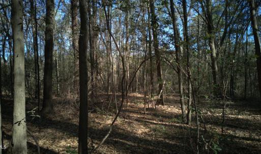 DJI_20250327094531_0037_D-scaled