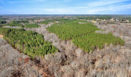 02-DJI_20251124121431_0798_D