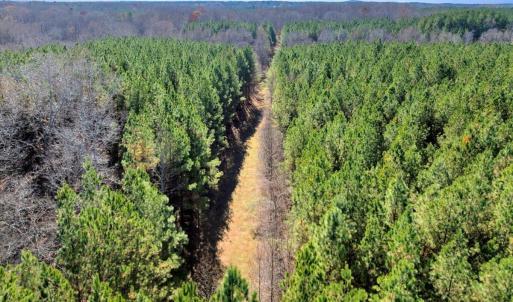 17-DJI_20251124122008_0853_D