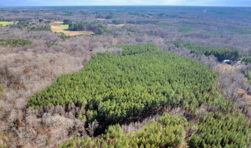 10-DJI_20251124121651_0818_D