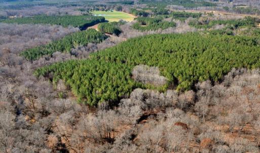 18-DJI_20251124122127_0858_D