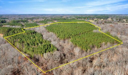 01-DJI_20251124121431_0798_D with lines