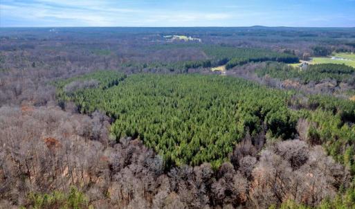 15-DJI_20251124121833_0843_D