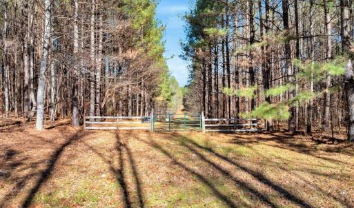 05-DJI_20251124121236_0788_D