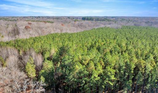 11-DJI_20251124121714_0823_D