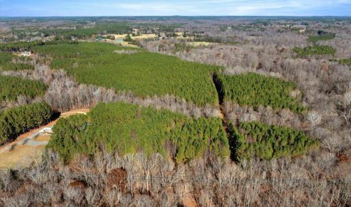 08-DJI_20251124121516_0808_D