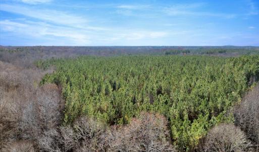 13-DJI_20251124121747_0833_D