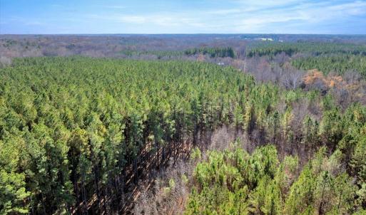 12-DJI_20251124121719_0828_D