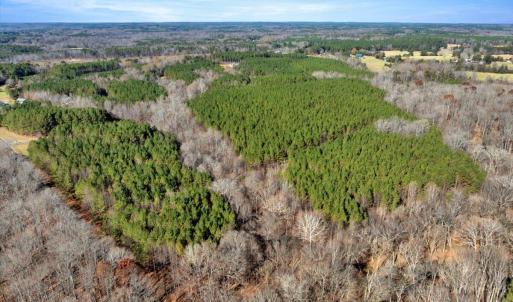 07-DJI_20251124121448_0803_D