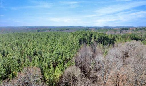 14-DJI_20251124121753_0838_D