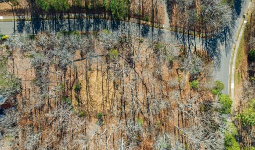 11-web-or-mls-untitled-8