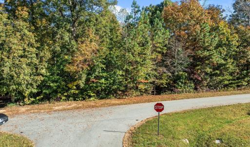 11-web-or-mls-DJI_0100