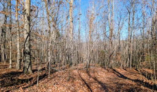 PXL_20251203_164940645~2