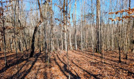 PXL_20251203_165026650~2