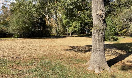 Front yard right view